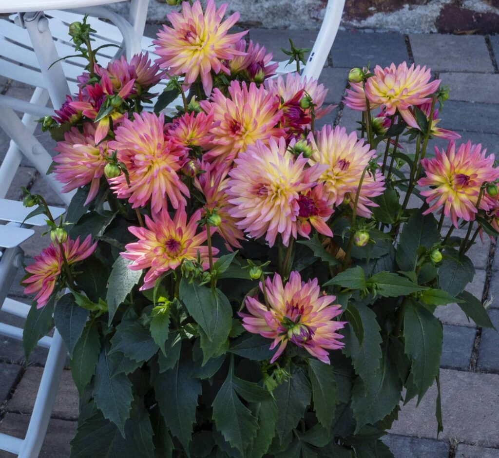 My Top Five for 2022