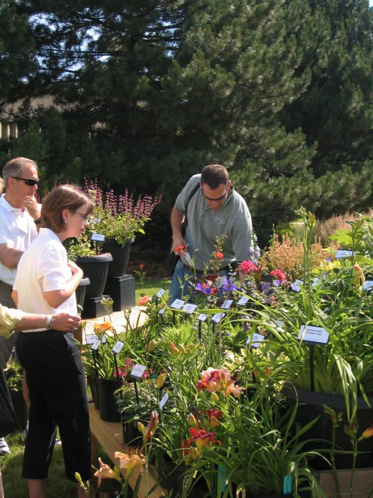Darwin Perennials Day Slated for June