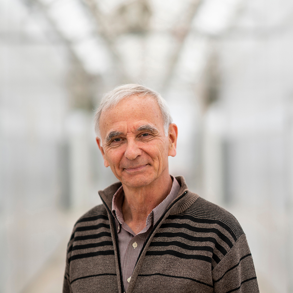 Texas A&M Honors Rose Geneticist