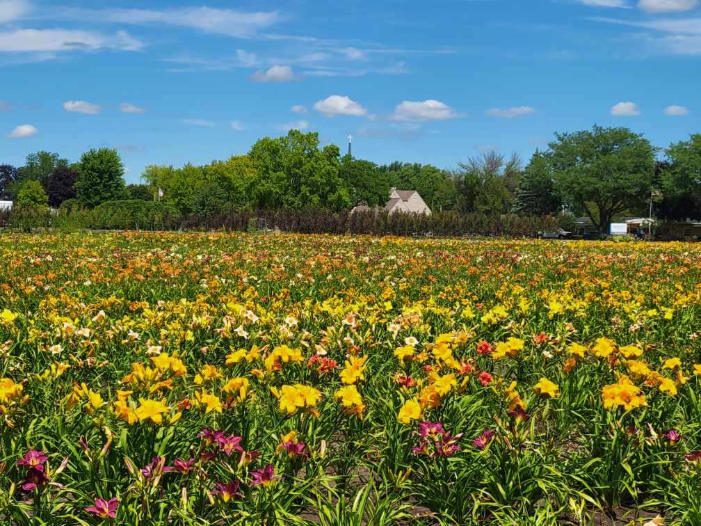 Forty Under 40 Perspectives: Keeping fields cleaner