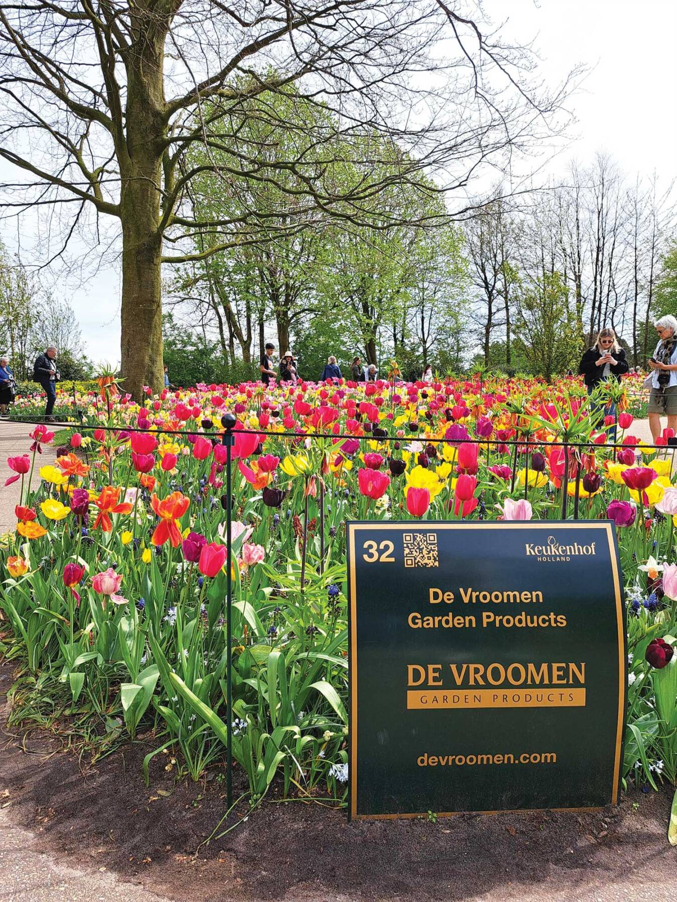 Garden beds of tulips
