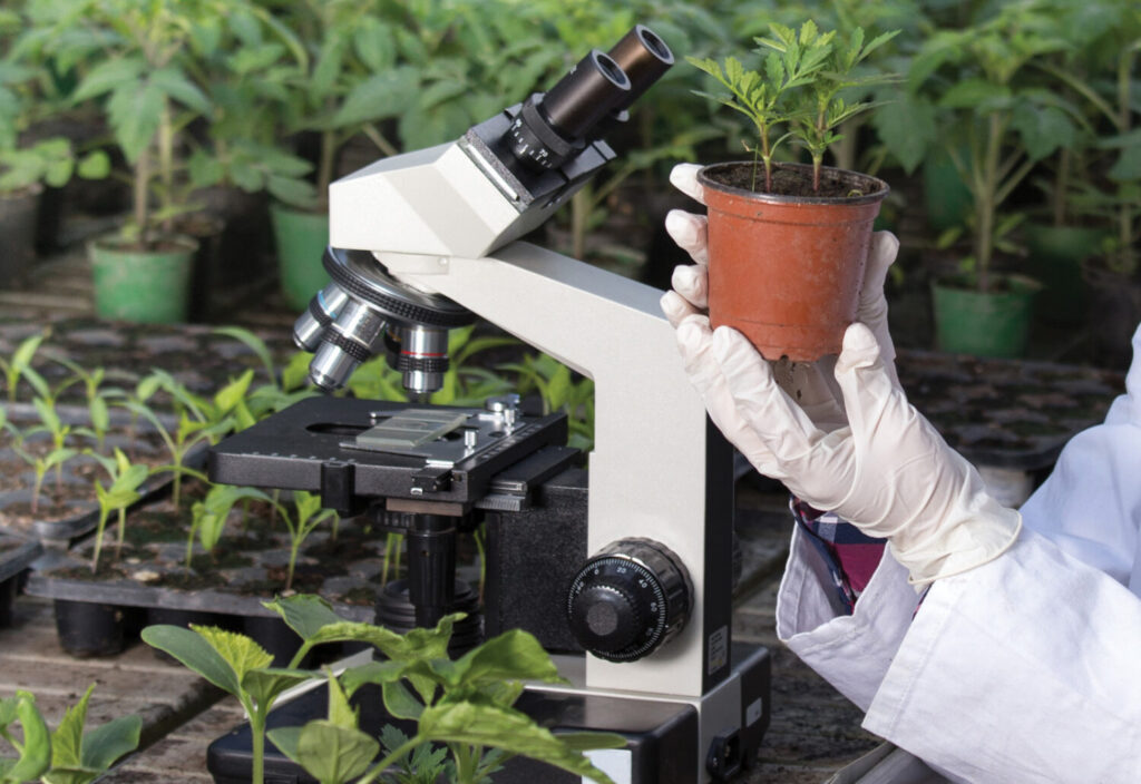 From lab to leaf: Measuring biocontrol quality