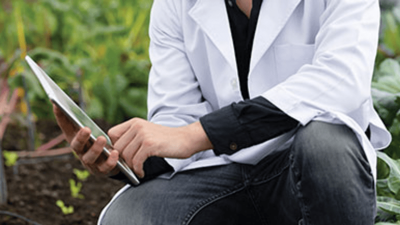 Duets: From rural farm to university