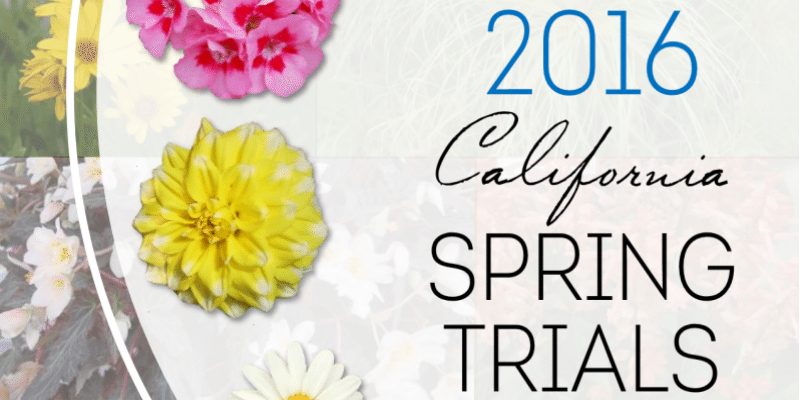 EHR Releases Spring Trials, New Perennials Reports
