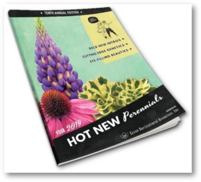 EHR Releases 2019 Perennials Guide