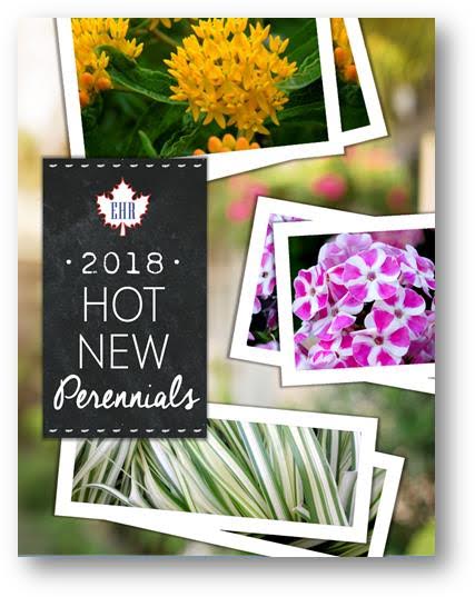 EHR Publishes 2018 Perennial Booklet