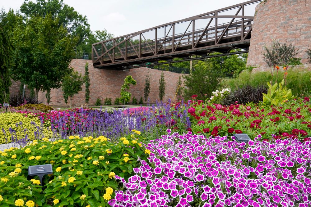 Breeder showcase returns to Cincinnati Zoo, offering ornamental plant trials