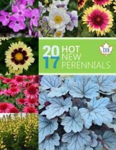 EHR Hot New Perennials for 2017
