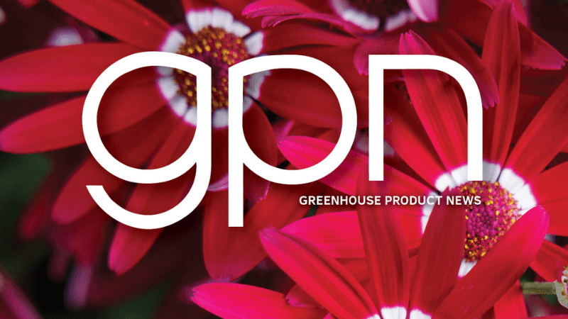 Editor’s Letter: Beauty is a gift