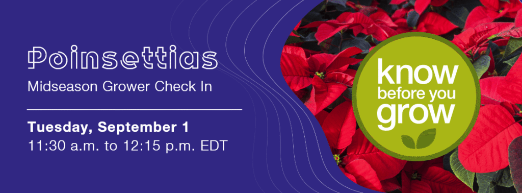 Syngenta to Present Poinsettia Webinar on Sept. 1