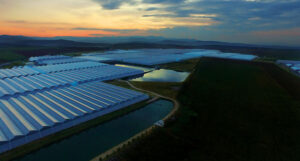 This is an aerial view of Red Farms, which was featured in Big Grower, May 2024. Photo courtesy of Red Farms.
