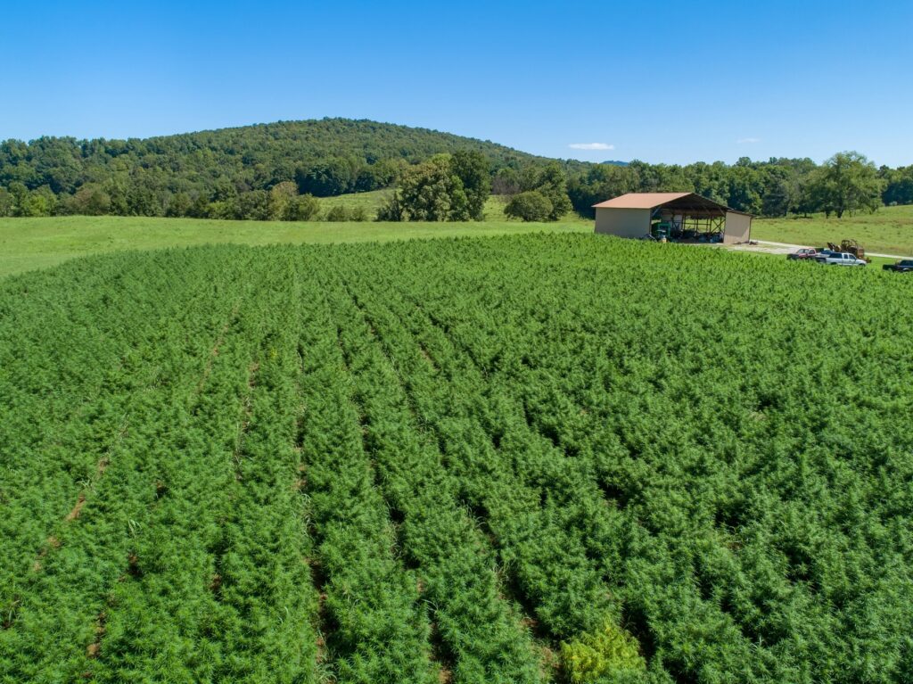 Plant Aid Expands Leadership Team and Acquires Land for Testing