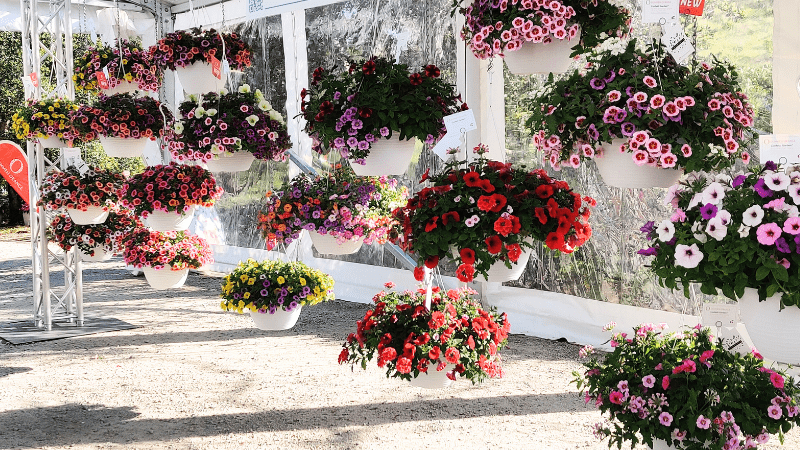 All the stops at California Spring Trials 2024