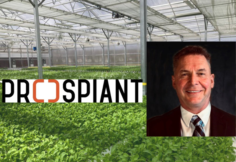 Prospiant names Burk Metzger as president