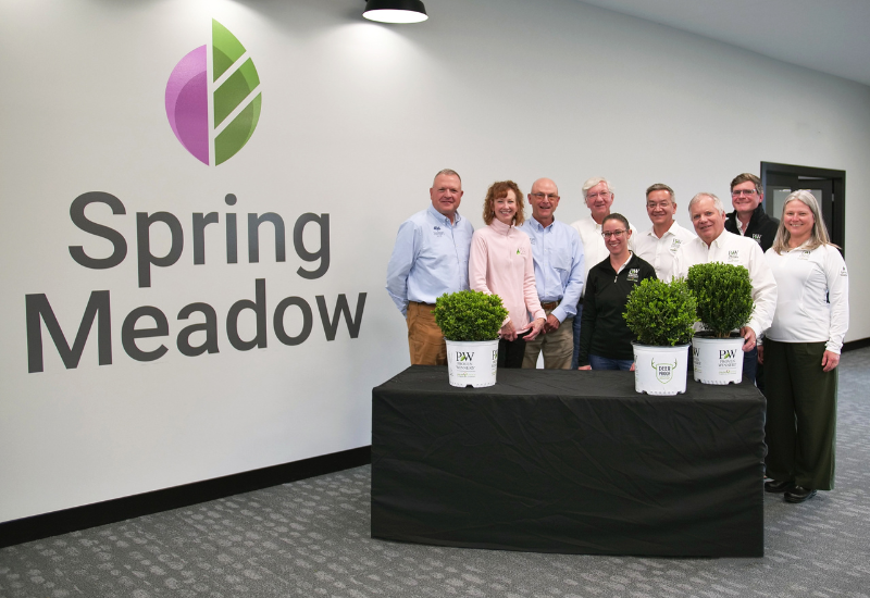 Spring Meadow Nursery adds NewGen boxwood to lineup