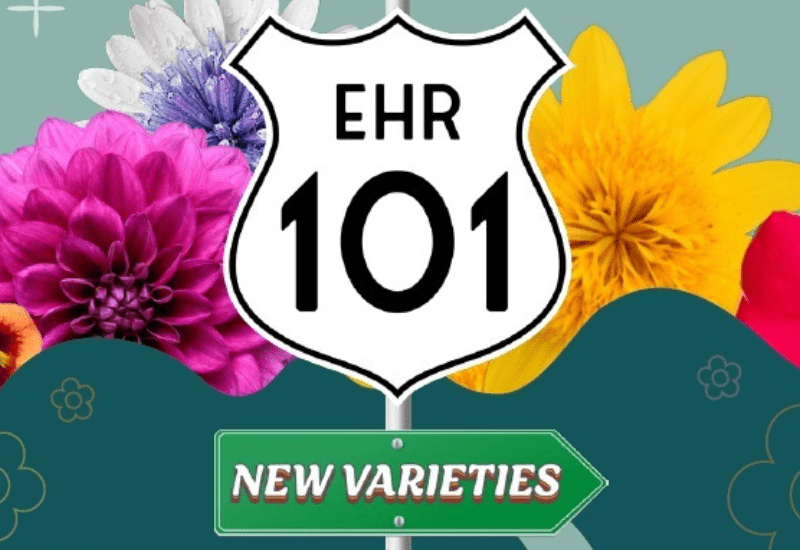 20th edition New Varieties Annual Report now available