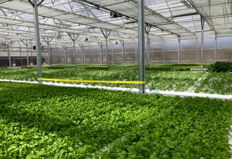 Indoor Ag-Con 2025 showcases CEA innovations