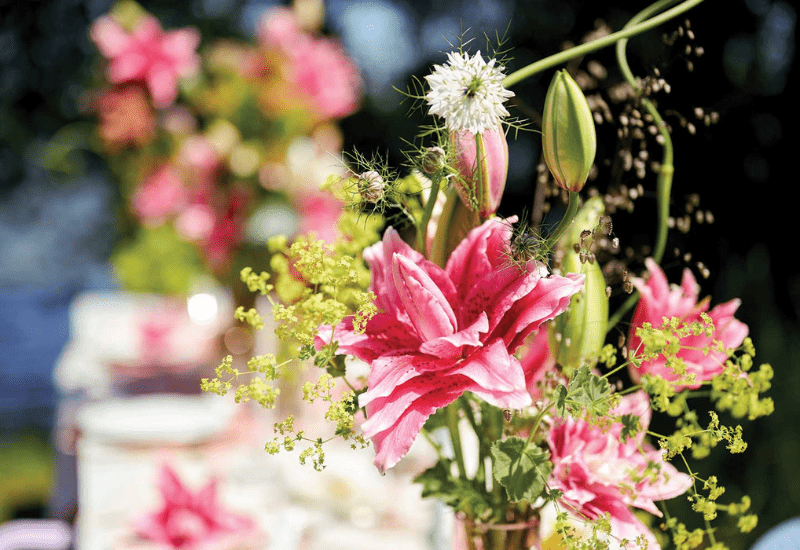 Culture Report: Roselilies