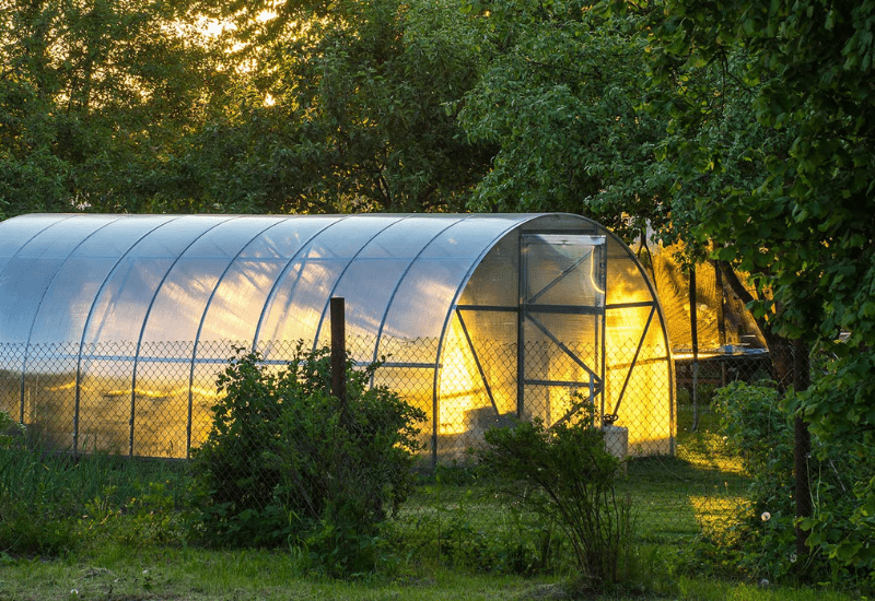 SGAFT: Small greenhouse surface area distribution