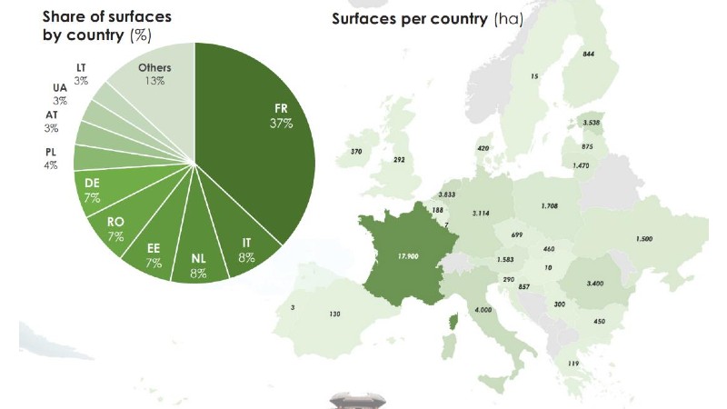 USDA Releases Report on the European Hemp Market