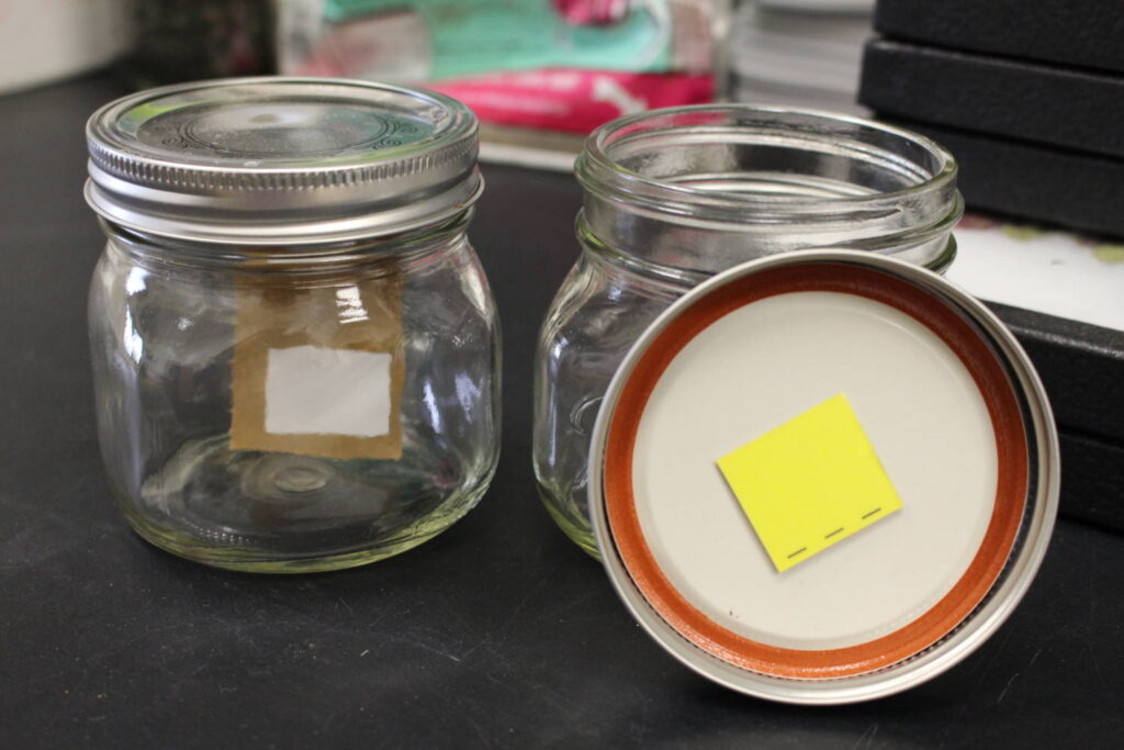 Effect of Product Handling and Distribution on Biologicals’ Success