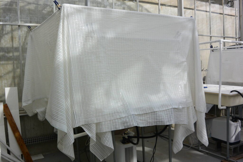 Managing the Daily Light Integral for Leafy Greens