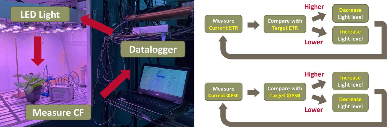 Figure 2 Biofeedback system datalogger