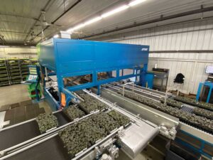 TTA’s FlexSorter is an automatic selecting line that can sort and transplant into various grades.