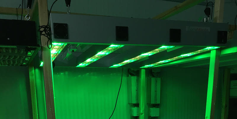 Fotonica Launches DLED Lighting System