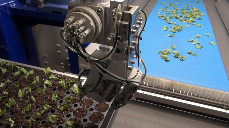 Cover Story — Innovation in Action