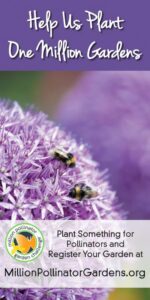 GCMpollinatorchallenge
