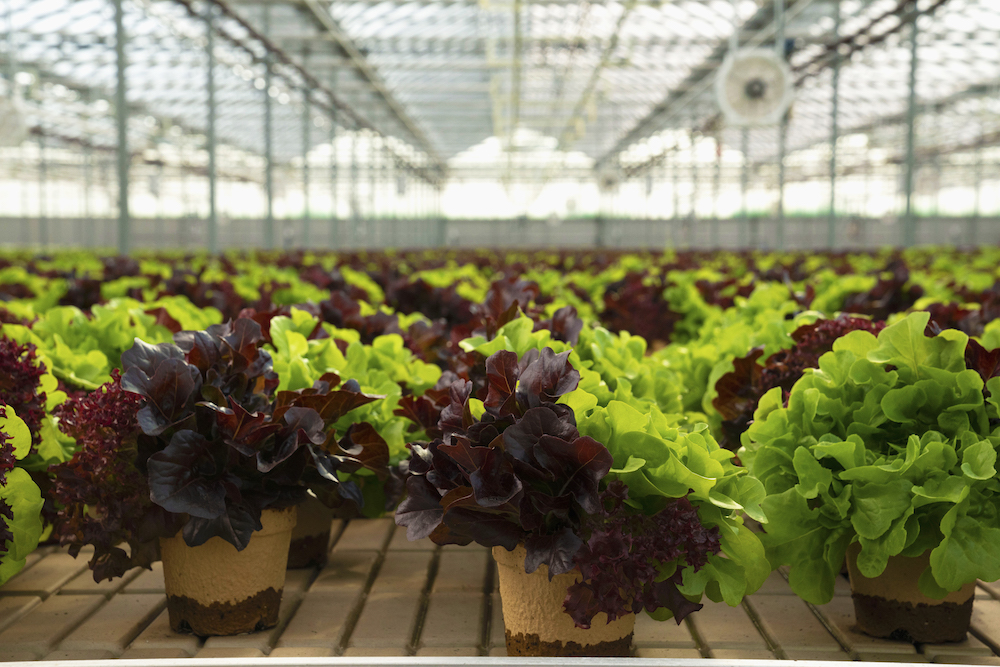 Micro Crop. Macro Thinking.