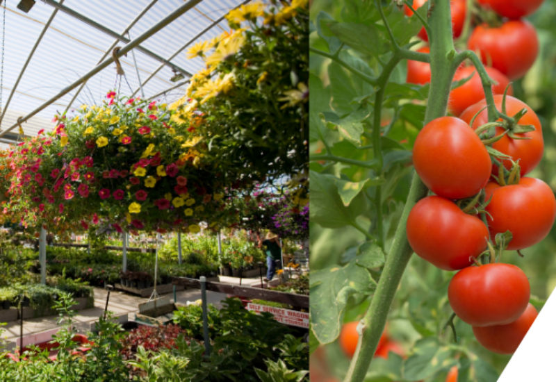 BioWorks highlights microbial tools