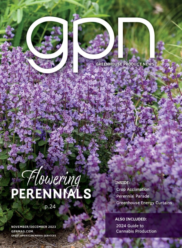 November/December 2023