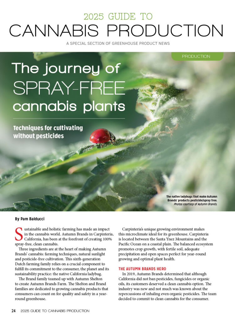 Special section: Cannabis production