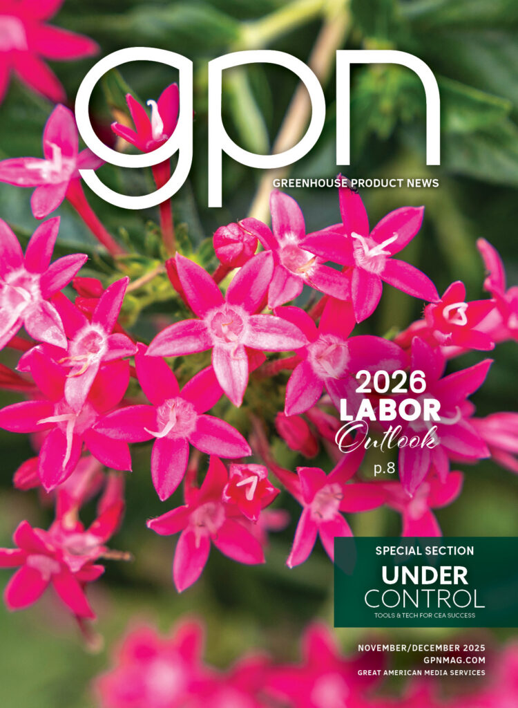 November/December 2025