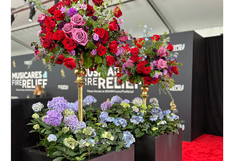 Hydrangeas featured on Grammy Awards red carpet