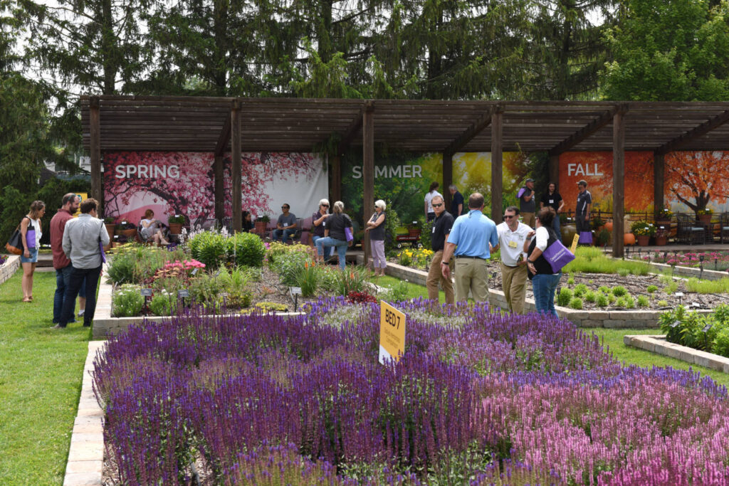 Darwin Perennials Sets Schedule for June 22 Event