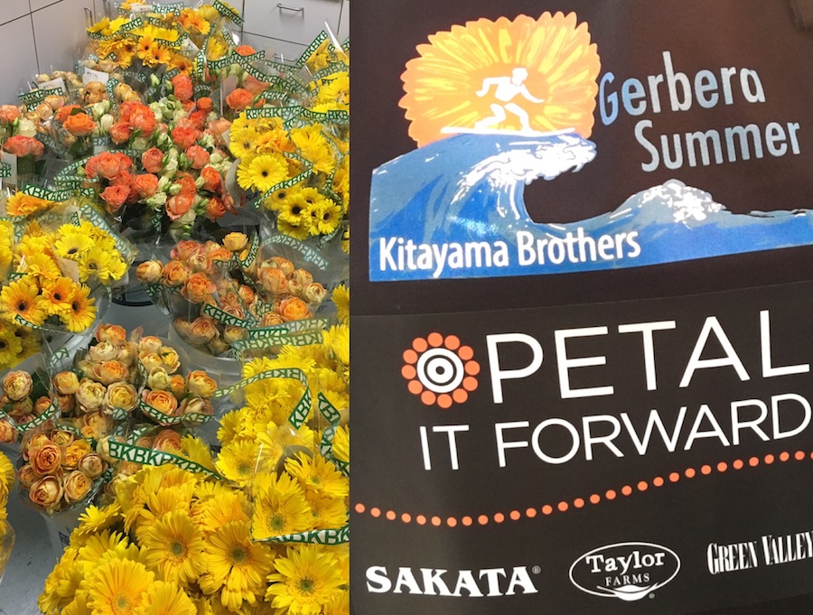 Sakata, Kitayama Bros. Team Up for Petal It Forward