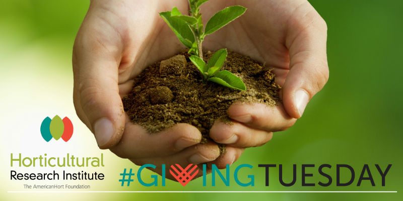 HRI Celebrates Giving Tuesday