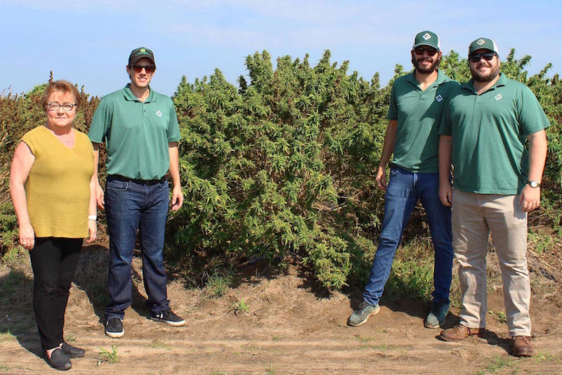 Largest Legal Hemp Harvest In Over 80 Years Gathered In Florida