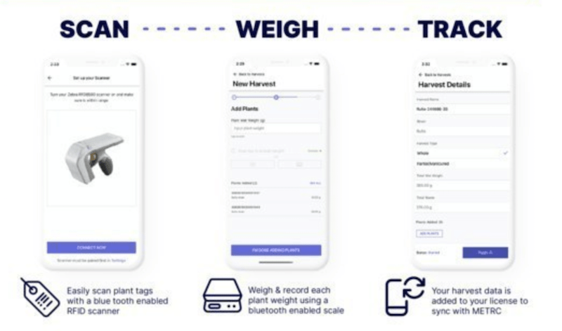 App Allows Cultivators In Metrc States To Weigh Cannabis Plants Offline