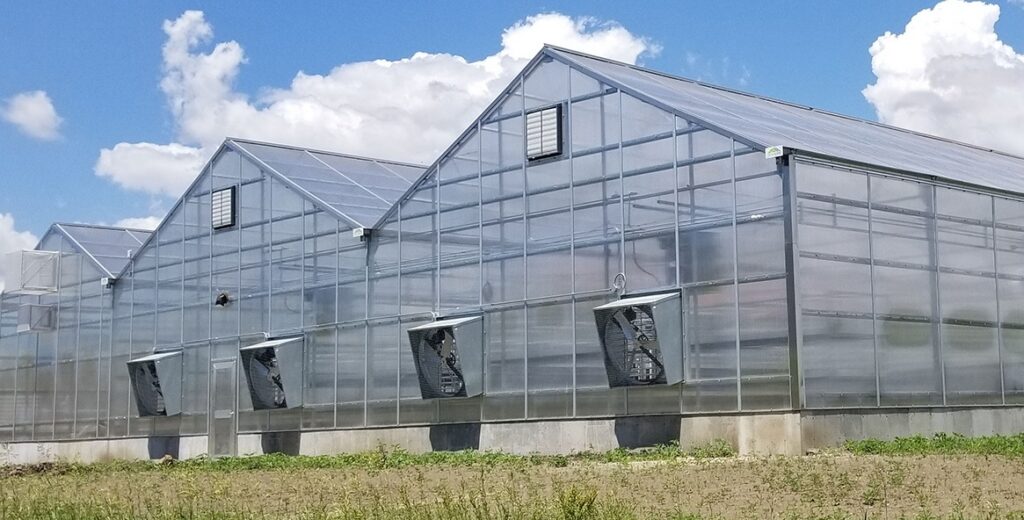 What Every Cannabis Grower Needs in Their Greenhouse