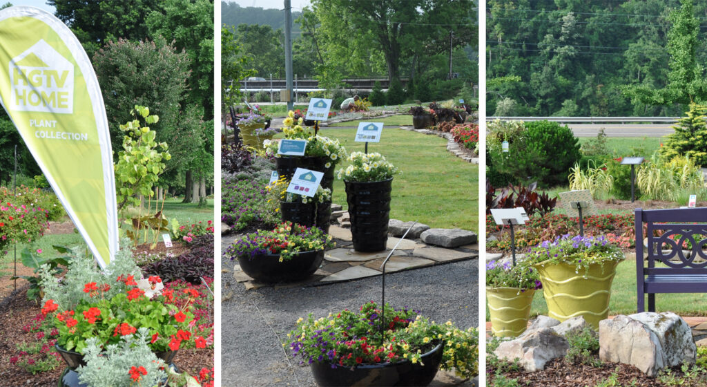 HGTV Home Plant Collection Participates in 2013 Southern Garden Tour