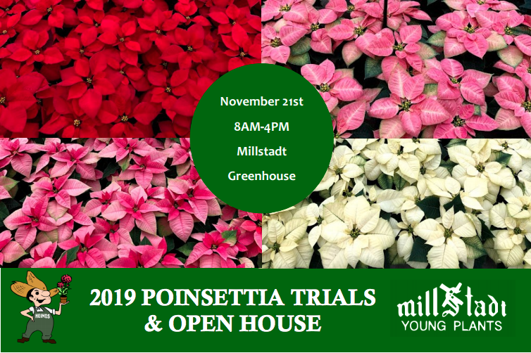 Millstadt/Heimos Poinsettia Open House Set for Nov. 21