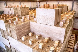 The Vital Role of Hemp in the Coming Age of Abundance