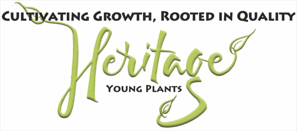Dutch Heritage Gardens launches Heritage Young Plants