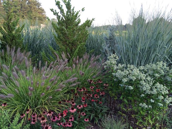 Raleigh to Host Perennial Conference in July