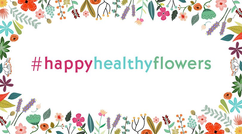 International Floriculture Expo Launches Social Media Awareness Campaign