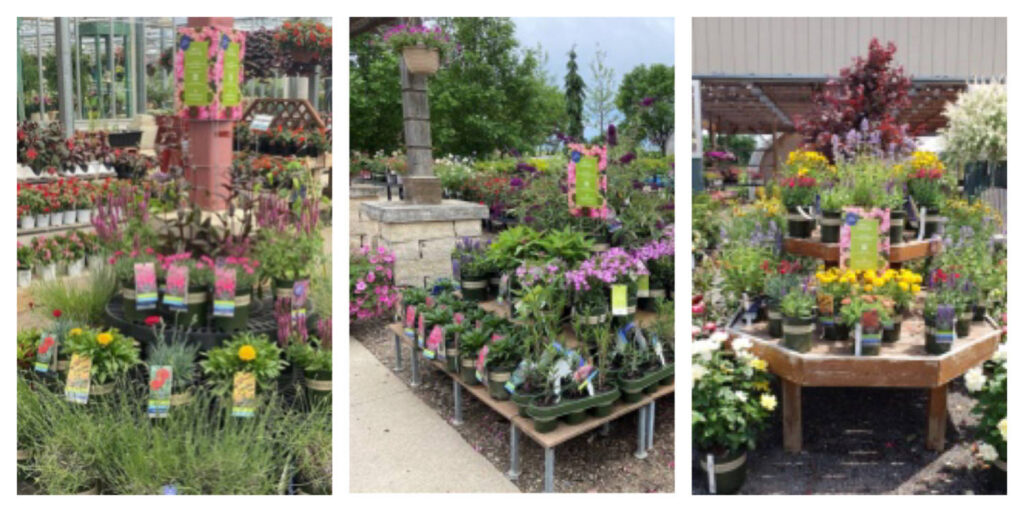 Monrovia Kicks off Pollinator Week With Local Retailers